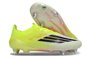 Colour 12