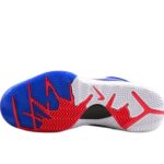 Nike Kobe 4 Protro Royal Blue Red White