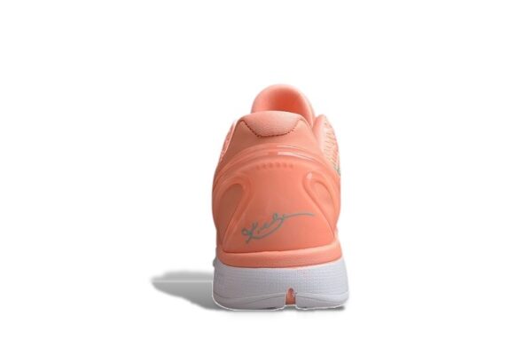 Nike Kobe 6 Protro Pink Teal