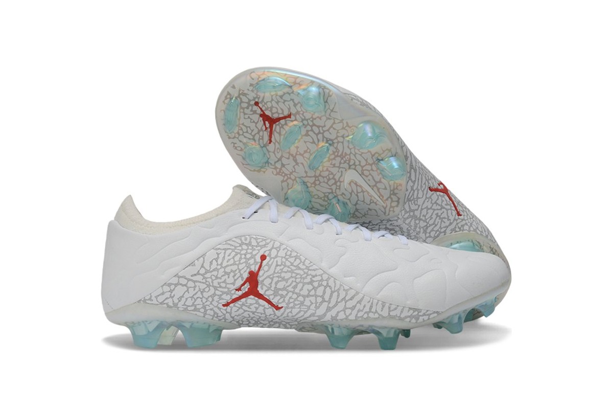 Nike Tiempo Legend 11 Elite Jordan FG White Grey